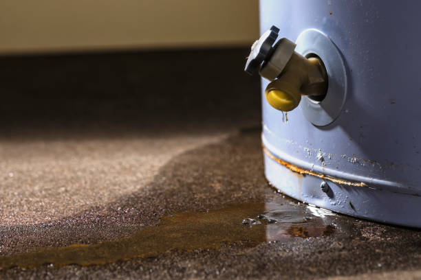 Best Flood damage cleanup  in Barnesville, MN