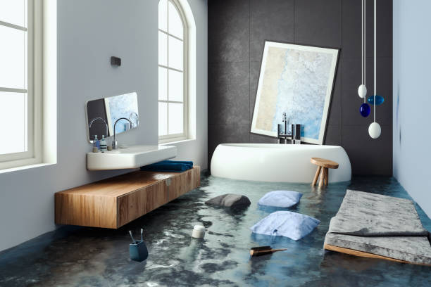 Best Water damage repair service  in Barnesville, MN