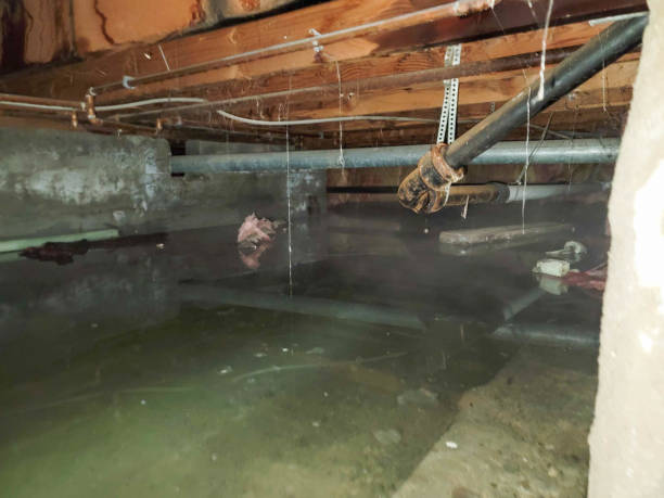 Best Water damage restoration insurance claims  in Barnesville, MN