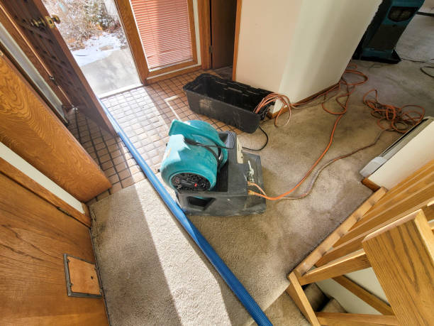 Best Flooded house restoration  in Barnesville, MN