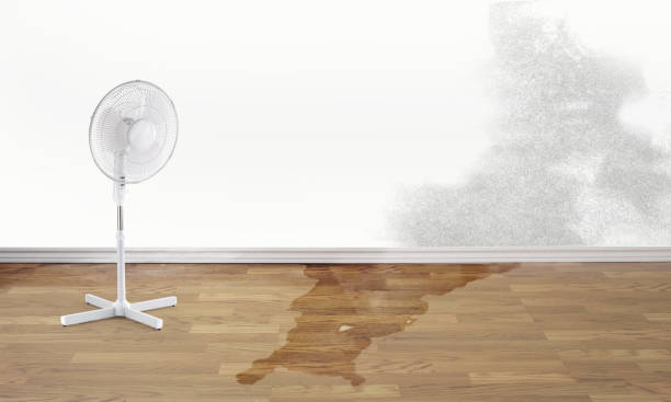 Best Flood restoration services  in Barnesville, MN