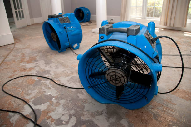 Best Water damage restoration near me  in Barnesville, MN