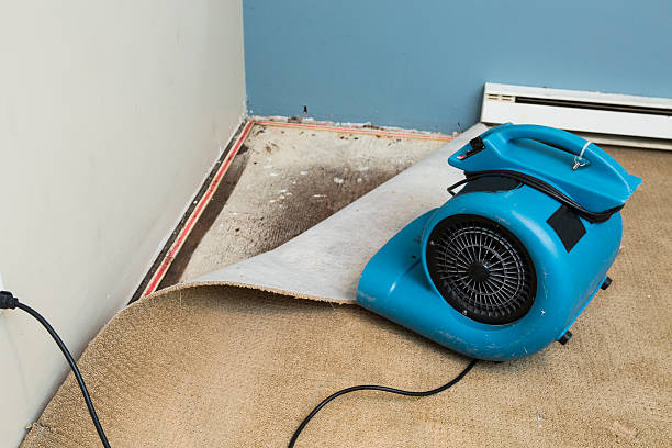 , MN Water damage restoration Company